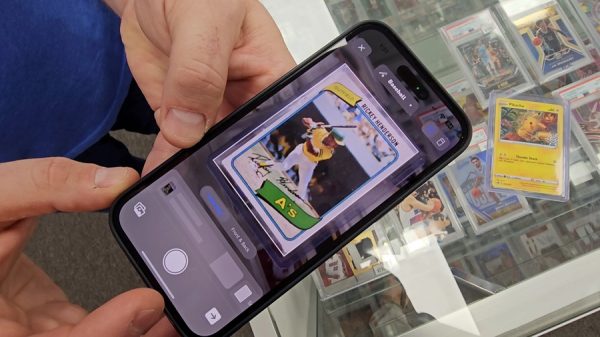 Pokemon and sports cards offering collectors a wide mix of modern and vintage options